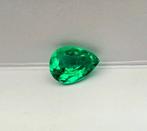 1 pcs Groen Smaragd - 1.01 ct - International Gemological, Nieuw