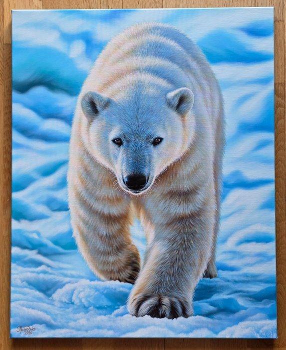 Maryna Prykhodko (1990) - Orso polare, Antiek en Kunst, Kunst | Schilderijen | Klassiek