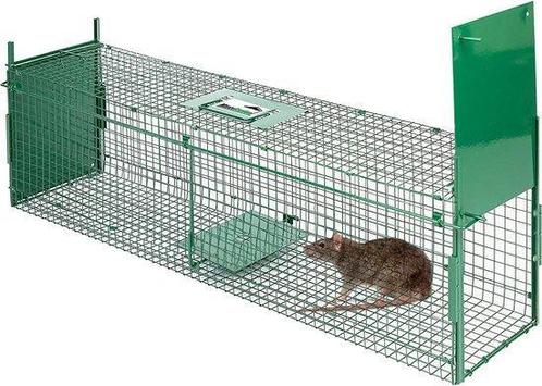 MaxxGarden rattenval marterval kattenval meerdere maten, Tuin en Terras, Bestrijdingsmiddelen, Ongediertebestrijding, Nieuw, Ophalen of Verzenden