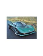 1995 ASCARI FGT BROCHURE ENGELS, Boeken, Nieuw