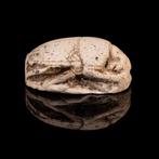 Oud-Egyptisch Steatiet scarabee (Zonder Minimumprijs), Antiek en Kunst
