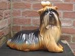 Hispania - Beeldje - meerkleurige Yorkshire Terrier -, Antiquités & Art