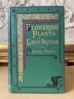 Anne Pratt - The Flowering Plants Volume 2 [40 coloured