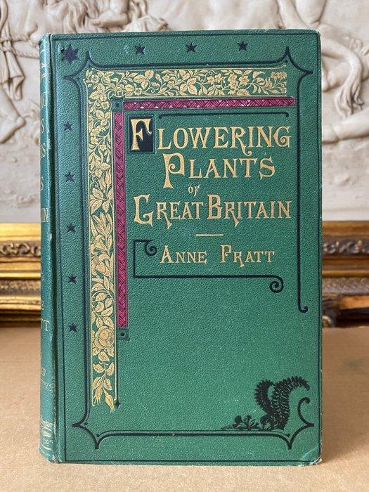 Anne Pratt - The Flowering Plants Volume 2 [40 coloured, Antiek en Kunst, Antiek | Boeken en Manuscripten