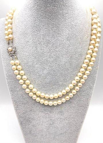 Collier - 14 carats Or blanc Diamant (Naturelle) beschikbaar voor biedingen