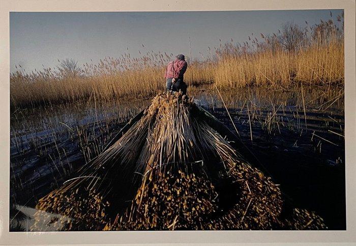 José Nicolas (1956) - Les sagneurs, Antiek en Kunst, Kunst | Designobjecten