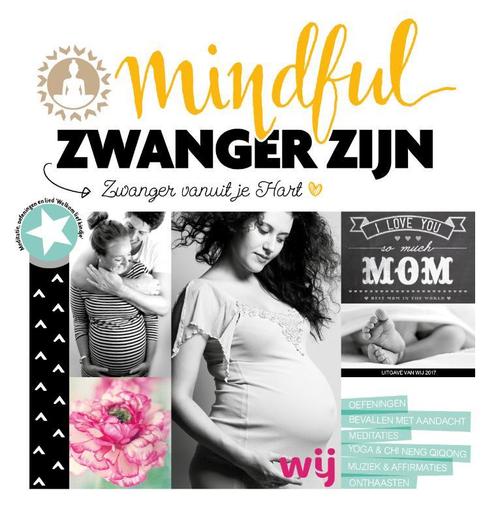 Mindful zwanger zijn 9789082250824, Livres, Grossesse & Éducation, Envoi