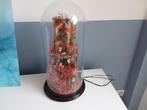 Grote kerststal onder glazen stolp - 50 cm - Corail, Glas,, Antiek en Kunst
