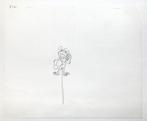 Marsupilami : Original Animation Production Drawing - (1993), Nieuw
