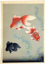 Goldfish  - From Dai Nihon gyorui gash  (Great