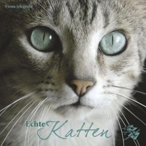 Echte Katten 9789063788377, Livres, Art & Culture | Photographie & Design, Envoi