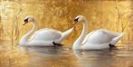 Iconica - Swans Dance · XXL, Antiek en Kunst, Kunst | Schilderijen | Modern