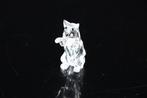 Figuur - Swarovski - Bedelende Kat (Boxed + Certificate) -