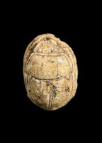 Égypte ancienne Stéatite Scarabée avec une figure en throne