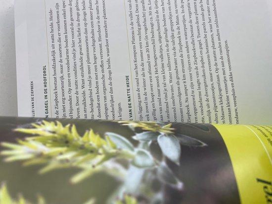 Groot Wandelboek België 5410574917690, Livres, Livres Autre, Envoi