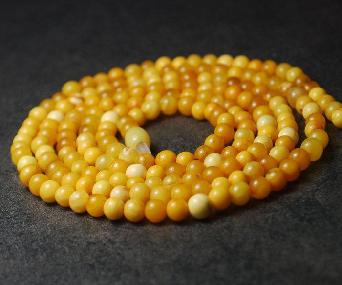 103 cm gele Baltische amber kralen ketting - Kralensnoer, Collections, Minéraux & Fossiles