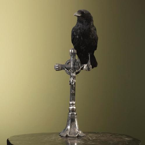 Kraai op Kruis Taxidermie Opgezette Dieren By Max, Verzamelen, Dierenverzamelingen, Opgezet dier, Nieuw, Vogel, Ophalen of Verzenden