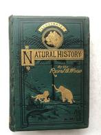 J.G. Wood - The Natural History of Man; Africa. - 1874, Antiek en Kunst