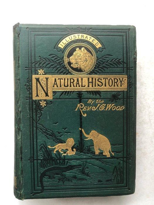 J.G. Wood - The Natural History of Man; Africa. - 1874, Antiek en Kunst, Antiek | Boeken en Manuscripten