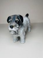 Karl Ens, Volkstedt - Figurine - Terrier dog - Porcelaine