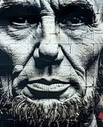 David Law - Abraham Lincoln