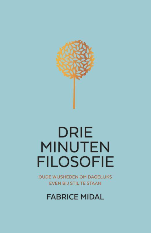 Drie minuten filosofie 9789400513389 Fabrice Midal, Boeken, Psychologie, Gelezen, Verzenden