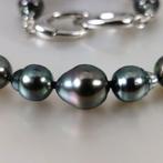 Halsketting Zilver Parel - Tahiti BQ Ø8,5x10,95MM, Nieuw