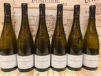 2022 Moulin de Chauvigné - Savennières - 6 Bouteilles (0,75, Nieuw