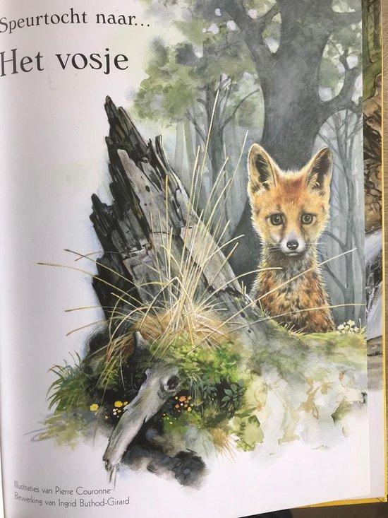 Speurtocht naar het Vosje (prentenboek) 9789041222794, Boeken, Overige Boeken, Gelezen, Verzenden