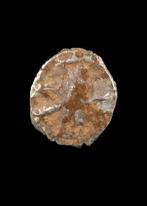 Oud-Grieks, West-Anatolië Zilver Hemitetartmorion (Zonder, Antiek en Kunst