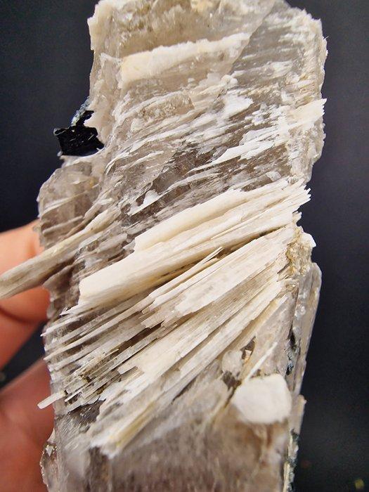 Epidydymite zeldzaam Egirine, pyrochlor - Hoogte: 130 mm -, Verzamelen, Mineralen en Fossielen