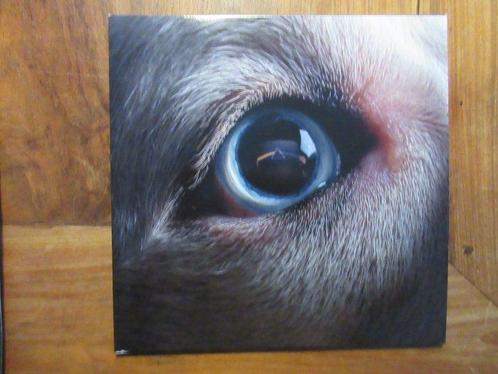 Roger Waters - The Dark Side Of The Moon Redux - Limited, Cd's en Dvd's, Vinyl Singles