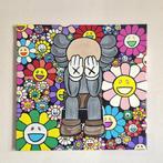 Midi (XX) - Pop Art - KAWS Inspired Companion & Murakami