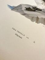 Von Wright brothers & Bror Halberg - Guillemot lithographic, Nieuw