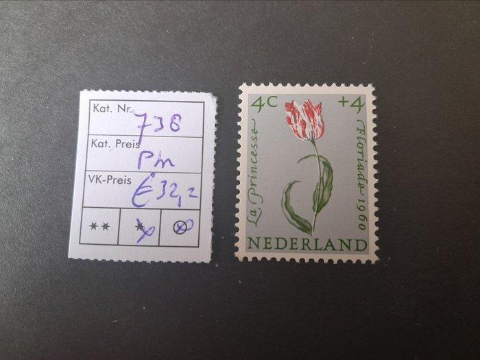 Nederland 1960/1960 - Collectie plaatfouten op zomerzegels, Postzegels en Munten, Postzegels | Nederland