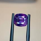 1 pcs Paars, Roze, Blauw Saffier - 6.26 ct - Gemological, Nieuw