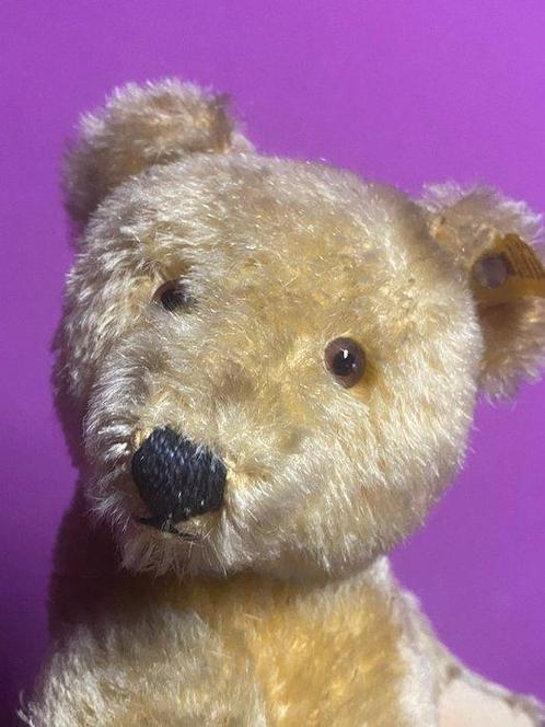 Steiff: Teddybeer US ZONE 1950, met extra label - Teddybeer, Antiek en Kunst, Antiek | Speelgoed