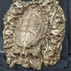 sculptuur, Predator - 50 cm - Hars, Collections