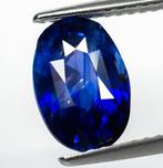 Zonder Minimumprijs Saffier - 2.69 ct - Antwerp Laboratory, Handtassen en Accessoires, Edelstenen, Nieuw