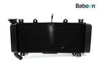 Radiateur Kawasaki Z 650 2023- (Z650 ER650KN ER650SS), Verzenden, Nieuw