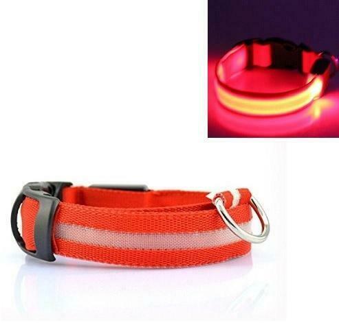 LED Halsband ROOD, Dieren en Toebehoren, Honden-accessoires, Verzenden