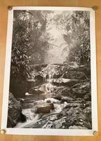 Sebastião Salgado (1944-2025) - Amazonia. Creek