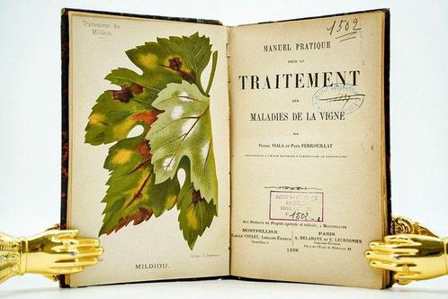 Pierre Viala et Paul Ferrouillat - Manuel pratique pour le, Antiek en Kunst, Antiek | Boeken en Manuscripten