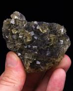 floater fluorietplaat met een zeldzame paarse kleur -