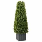 vidaXL Eucalyptus Gras Toren Groen 27 x 27 x 90 cm Kunststof, Huis en Inrichting, Verzenden, Nieuw