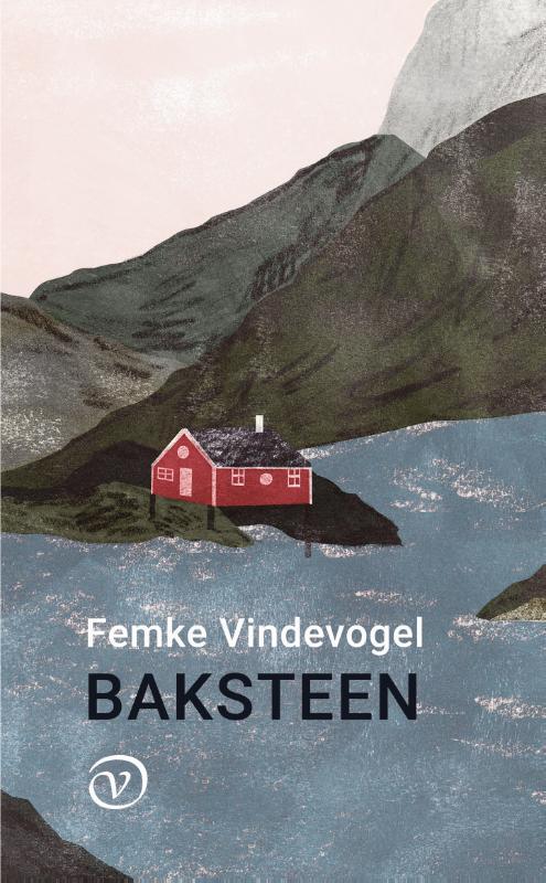 Baksteen 9789028213081 Femke Vindevogel, Boeken, Romans, Zo goed als nieuw, Verzenden