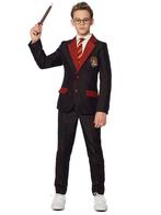 Harry Potter Pak Jongen Gryffindor, Verzenden