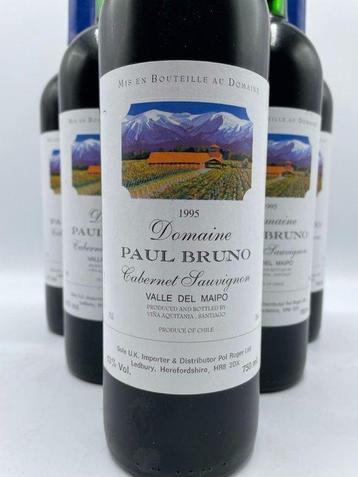 1995 Domaine Paul Bruno, Valle del Maipo - Maipo Valley - 6