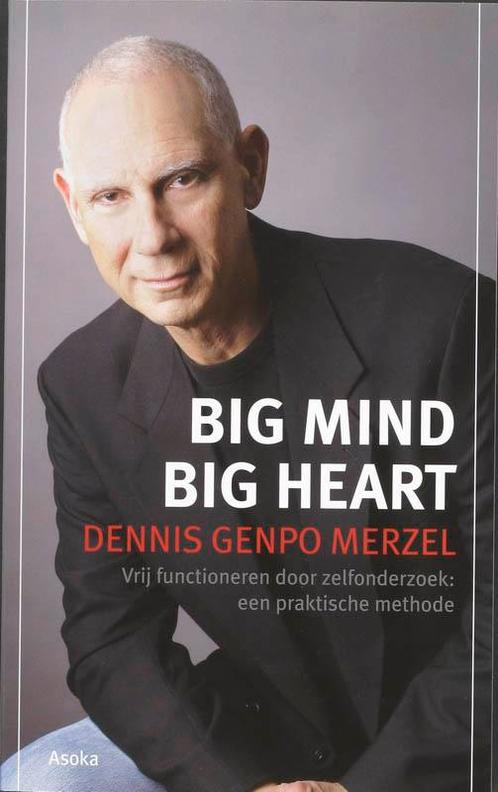 Big Mind 9789056701895 D.G. Merzel, Boeken, Filosofie, Gelezen, Verzenden