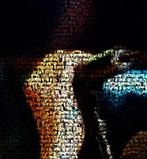 David Law - Crypto Arno VII